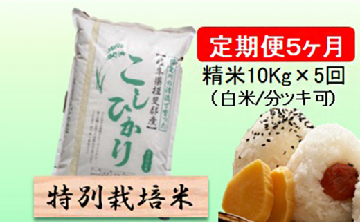 令和５年産 特別栽培米☆[定期便] 5カ月☆毎月 精米10kg（白米/5分/7分ツキ可） 【コシヒカリ】 玄米は別に出品 [№5644-1156] -  岐阜県池田町｜ふるさとチョイス - ふるさと納税サイト