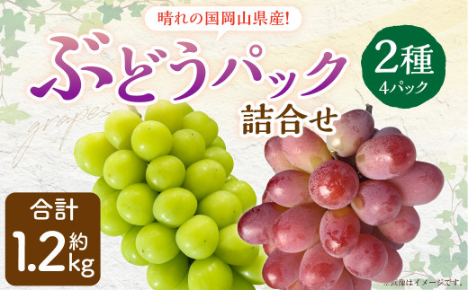 岡山県産 ぶどう パック詰合せ ※2種4パックセット 【2024年11月上旬～11月下旬発送予定】 岡山 シャインマスカット 旬 果物 くだもの  フルーツ ぶどう ブドウ 葡萄 セット - 岡山県奈義町｜ふるさとチョイス - ふるさと納税サイト