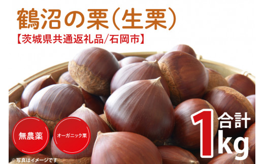 生栗1kg 無農薬① 荒っぽ