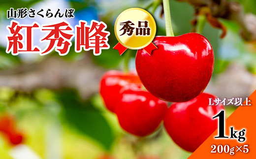 山形県産 訳あり 紅秀峰 1キロ 楽天市場】さくらんぼ 山形県産 訳あり