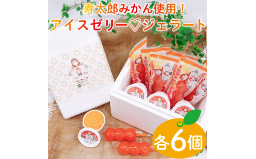 竹ちゃん⭐︎ライフウェーブ　アイスウェーブ　2セット ☆LIFEWAVE icewave 2セット未使用説明書付き 【公式通販】