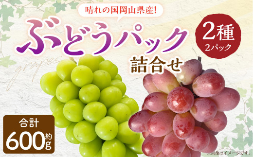 岡山県産 ぶどう パック詰合せ ※2種2パックセット 【2025年9月上旬～11