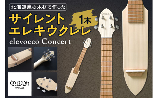 サイレント/エレキウクレレ elevocco Concert - 北海道札幌市 