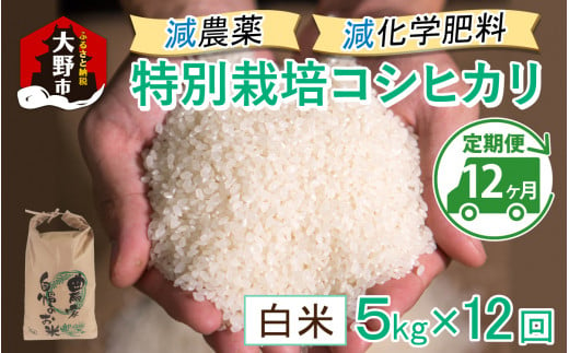 先行予約】【令和6年産 新米】【12ヶ月定期便】減農薬・減化学肥料の特別栽培コシヒカリ 白米 5kg×12回 計60kg 農家直送 福井県大野市産 -  福井県大野市｜ふるさとチョイス - ふるさと納税サイト