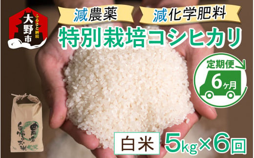 先行予約】【令和6年産 新米】【6ヶ月定期便】減農薬・減化学肥料の特別栽培コシヒカリ 白米 5kg×6回 計30kg 農家直送 福井県大野市産 -  福井県大野市｜ふるさとチョイス - ふるさと納税サイト