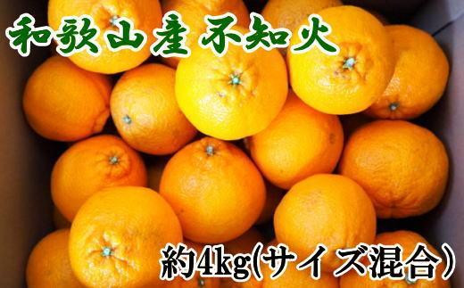 ya̎R쒬za̎RYsmΖ4kgiTCYj2026N2{菇mTM130n