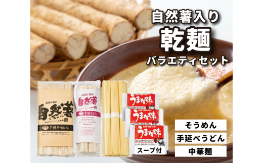 【広島県三原市】コシがあって美味♪手延べ乾麺の自然薯入り乾麺バラエティセット(小) 029007