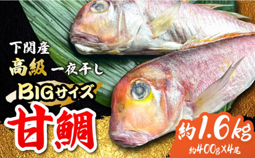 yꌧg샖z傫TCYIÑ̈銱4i1400gjg샖/₫Ƃ䎟Y [FCJ046]