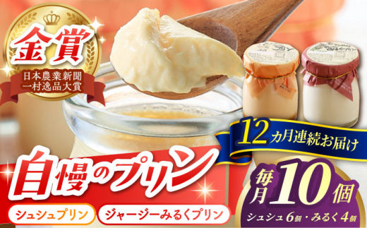 y茧呺szy12ցzVVvƃW[W[݂邭vZbg 10/iv120j/ v XC[c ~N W[W\ /  呺s / ނ疲t@[VV [ACAA323]