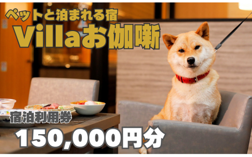 yOdIkzyybgƔ܂hzVilla@hpq150,000~r[vo05]