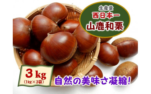 熊本県産 和栗 3kg 【2024年9月上旬発送開始】 クリ くり 栗 フルーツ くだもの 果物 国産 - 熊本県｜ふるさとチョイス -  ふるさと納税サイト