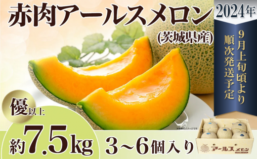 茨城県産アールスメロン「赤」約7.5kg（3～6個）【2024年9月上旬～10月下旬ごろ発送予定】【 国産メロン 茨城県産メロン メロンの王様  高級メロン めろん 果物 くだもの フルーツ 季節限定 人気 贈り物 お取り寄せ プレゼント 厳選 デザート マスクメロン ムスク マスク ...