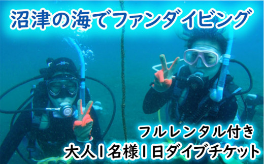 ファン ダイビング チケット 大人 1名 1日 2ビーチ ダイブ フル 