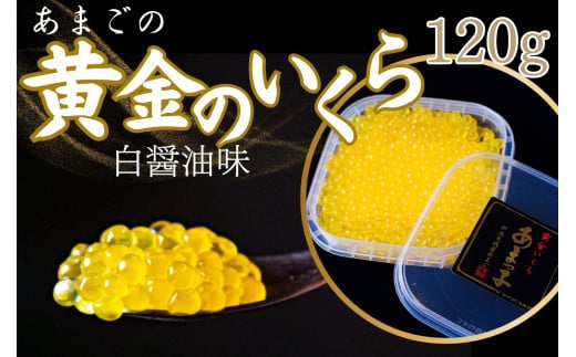 yÉɓszyʌz ̏I܂̉CNiݖÂjyT[ V 싛 gP TcL}X  N ^ hg T[sN  ̏ ނl Ö