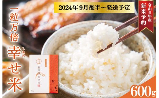 一粒万倍 幸せ米 1合×4個 コシヒカリ お米 おこめ 三重県産 送料無料 小分け 冷めてもおいしい 三重 米 白米 精米 ギフト 祝 贈り物  喜ばれる お米ギフト お祝い 内祝い 贈答 一粒万倍日 伊勢神宮 奉納 - 三重県明和町｜ふるさとチョイス - ふるさと納税サイト