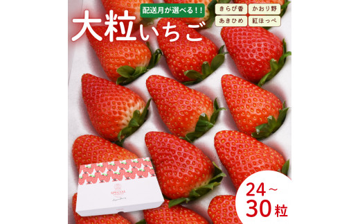 先行予約：選べる配送月】 いちご 大粒 24～30粒 2025年1月～2025年4月 順次発送 苺 旬 産地 直送 フレッシュ イチゴ 紅ほっぺ 章姫  あきひめ きらぴ香 かおりの フルーツ 果物 国産 ジャパン ベリー 静岡県 藤枝市 - 静岡県藤枝市｜ふるさとチョイス - ふるさと納税サイト