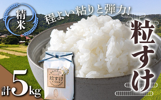 令和7年産米 新米 粒すけ 精米 5kg （5kg×1袋） 白米 お米 ご飯 米 
