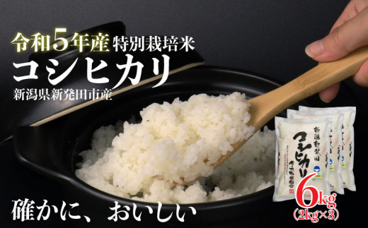 令和5年産 新潟県産コシヒカリ 5kg しばた最高のコシヒカリ 新発田のおいしいお米コンテスト入賞米 【 真空 長期保存 備蓄 真空パック 新潟  新潟県 米 5kg 入賞米 コシヒカリ 最高 コンテスト 新発田産 D51 】 - 新潟県新発田市｜ふるさとチョイス - ふるさと納税サイト