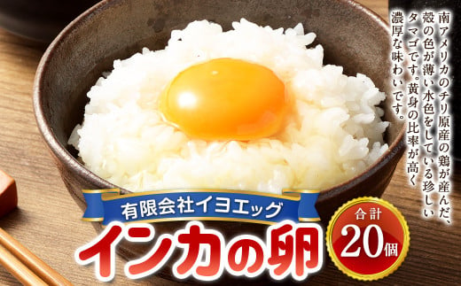 インカの卵 20個 セット （内割れ保証2個） たまご 卵 玉子 タマゴ 国産 愛媛県産 【えひめの町（超）推し！（内子町）】 （481） -  愛媛県｜ふるさとチョイス - ふるさと納税サイト