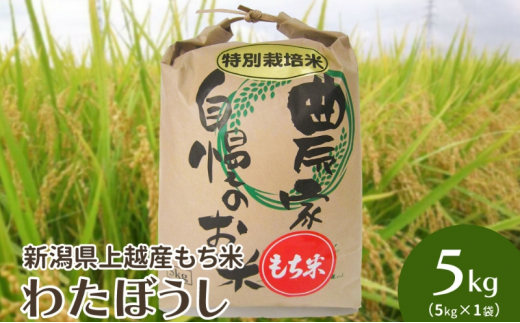 yVzszߘa7NEVzY|āu킽ڂvVʍ͔||5kg()