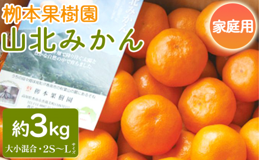 家庭用 柳本果樹園の山北みかん 3kg 大小混合(2S～L) - 果物 フルーツ 柑橘類 温州みかん ミカン 蜜柑 甘い おいしい 訳あり キズ  大小混合 期間限定 季節限定 数量限定 高知県 香南市 yg-0012 - 高知県香南市｜ふるさとチョイス - ふるさと納税サイト