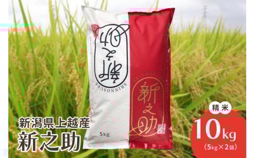 yVzszߘa7NEVzY|VuhāuVVv10kg(5kg×2)