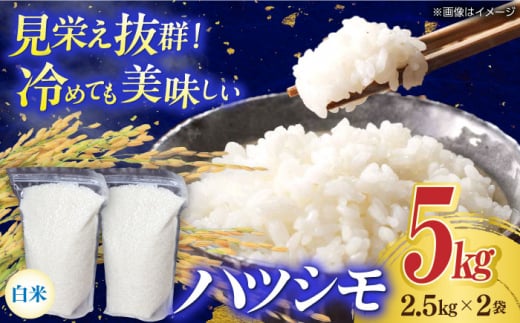 y򕌌򕌎szyߘa7NYz򕌎sY ncV  5kgy2.5kg×2Pz  R 5L 򕌎s/_g@l@cc_ [ANEP003]