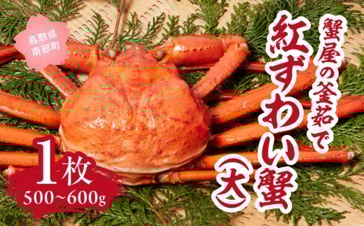 y挧암zykCEEzszI̊䥂ōg킢I() 500`600g×1 xjYCKj g킢 Jj  ` }c {CYCKj (MR01)