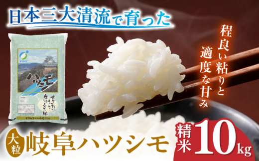 岐阜ハツシモ 10kg (精米) 白米 お米 岐阜市産 岐阜市/岐阜県名産販売 