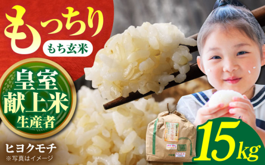 新米 米 もち米 からし 精米20kg ヒヨクモチ 熊本県産 令和6年産
