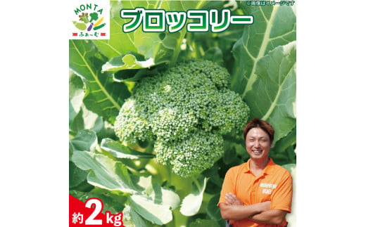 ブロッコリー 約2kg 野菜 やさい 国産 朝採れ 新鮮 旬 季節野菜 産地直送 鮮度抜群 サラダ スープ 味噌汁 鍋 シチュー カレー 和食 洋食  中華 栄養 ビタミン 美容 健康 冷蔵 お取り寄せ グルメ 送料無料 徳島県 阿波市 MONTAふぁ～む -