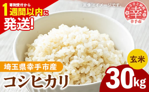 新米発送】令和6年産 幸手市産 コシヒカリ 玄米30kg 色彩選別済 Brown Rice - お米 米 こしひかり 玄米 30kg 埼玉県 幸手市  - 埼玉県幸手市｜ふるさとチョイス - ふるさと納税サイト