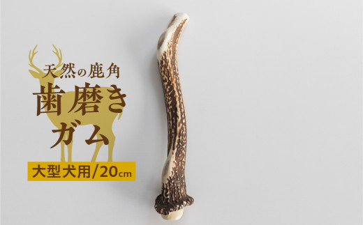 兵庫県産　天然鹿の角　オブジェ　犬用デンタルケアにも！ 楽天市場】【森のごはん】 天然 鹿の角 国産 無添加 犬のおもちゃ