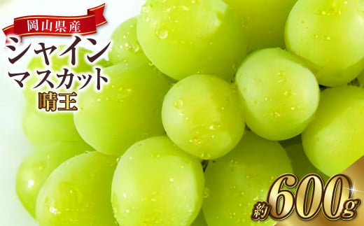 岡山県産 シャインマスカット 晴王 1房 約600g 【2024年8月下旬～10月上旬迄発送予定】 岡山 大粒 たねなし マスカット 果物 くだもの  フルーツ ぶどう ブドウ 葡萄 人気 - 岡山県奈義町｜ふるさとチョイス - ふるさと納税サイト