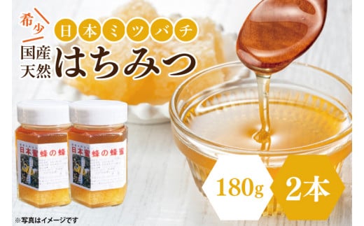 先行予約】日本ミツバチの国産天然はちみつ 360g（180g×2本）【希少 数量限定 期間限定 ハチミツ 蜂蜜 国産ハチミツ 非加熱 天然 水戸市  茨城県】(KH-2) - 茨城県水戸市｜ふるさとチョイス - ふるさと納税サイト