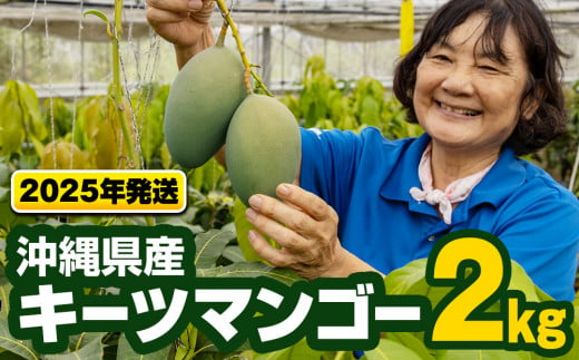 2025年発送】沖縄県産キーツマンゴー2kg - 沖縄県南風原町｜ふるさとチョイス - ふるさと納税サイト