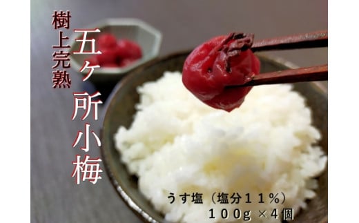 yOdɐz~  v400g i100g×4j   ~ ߂ڂ  ߊ ~ ~ ume Y  n Ƃ낯  11%  ͂̂  ͂    