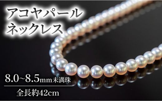 yQ쒬zARp[lbNX 8.0~ ^ lbNX tH[}  ANZT[ t@bV uh L L p[ Y  Mtg ̓ w w 