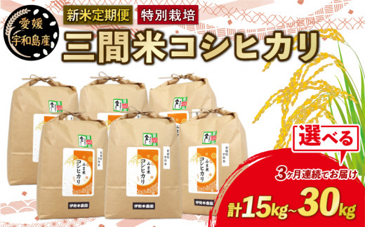 新米 定期便 3回 計15kg ~ 30kg 先行予約 特別栽培米 三間米 コシヒカリ 5kg or 10kg × 3回 選べる 伊勢本農園 特別栽培  米 お米 おこめ ごはん こめ コメ ※ kome 白米 精米 お弁当 ブランド米 ふっくら ライス