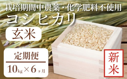 定期便6回】 玄米 コシヒカリ 計60kg 10kg×6回 定期便 栽培期間中無農薬 ｜ 徳島県 ふるさと納税 新生活 四国 徳島 小松島 新生活  おいしい お米 米 こめ おこめ 国産 限定 ごはん ご飯 ゴハン ふるさと ランキング 人気 安全 安心 栄養 おすすめ