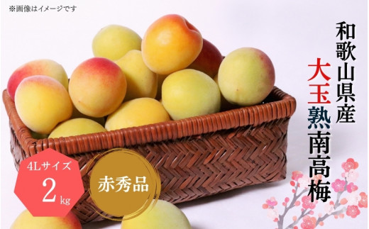 梅干・梅酒用】大玉4Lサイズ2Kg熟南高梅 赤秀品＜2025年6月上旬～7月 