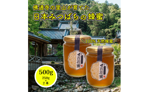 国産 天然蜂蜜 】 はちみつ 日本みつばち 百花蜜 500g（250g×2個 