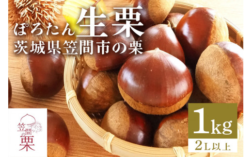 甘露煮におすすめ！笠間の栗・箱田農園の生栗「ぽろたん」1kg（2L以上） - 茨城県笠間市｜ふるさとチョイス - ふるさと納税サイト