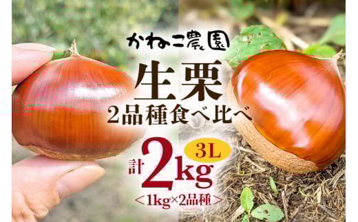 kaokao様　生栗　10キロ　２回目 kaokao様 生栗 10キロ 栗 10kg」の人気商品一覧 | 安い商品を