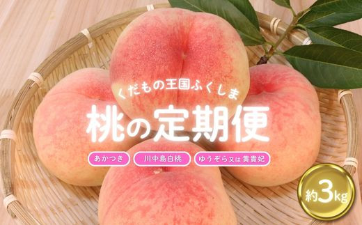 No.2026ふくしまの桃 約3kg 定期便 3回【2025年 先行予約】 - 福島県福島市｜ふるさとチョイス - ふるさと納税サイト