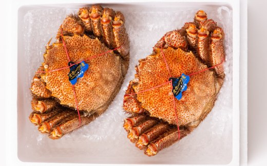 37-5 毛ガニ約570g×2尾 - 北海道紋別市｜ふるさとチョイス - ふるさと