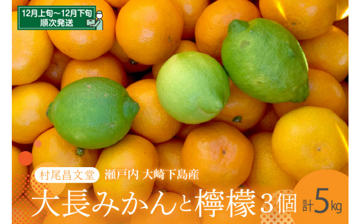 先行受付】広島 大長みかんと大長檸檬3個セット 5kg 広島県産 瀬戸内 蜜柑 檸檬 みかん ミカン れもん レモン 柑橘 甘い 香り 酸味 まろやか  産地直送 送料無料 果物 フルーツ 広島県 呉市 先行予約 - 広島県呉市｜ふるさとチョイス - ふるさと納税サイト