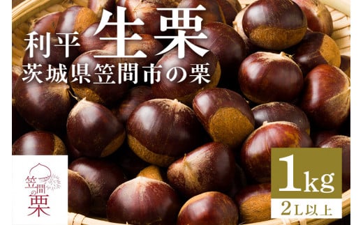 笠間の栗・箱田農園の生栗「利平」1kg（2L以上） - 茨城県笠間市｜ふるさとチョイス - ふるさと納税サイト