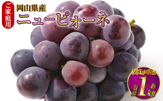 岡山県産 ニューピオーネ 約1.2kg（600g×2房） 【2024年8月下旬～9月下旬迄発送予定】 果物 くだもの フルーツ ぶどう ブドウ 葡萄  - 岡山県奈義町｜ふるさとチョイス - ふるさと納税サイト