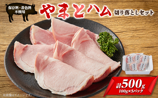 yޗǌVszS[hEV[Hi܂ƃn؂藎ƂZbg(100g×5pbN)y1284833z